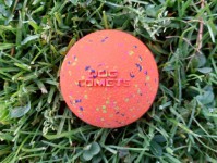 Dog coments bal